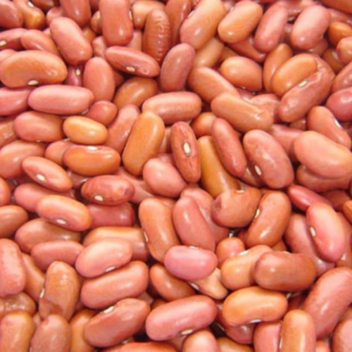 Haricots rouges clairs