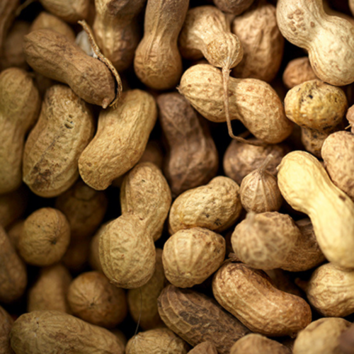 Arachides la Tonne